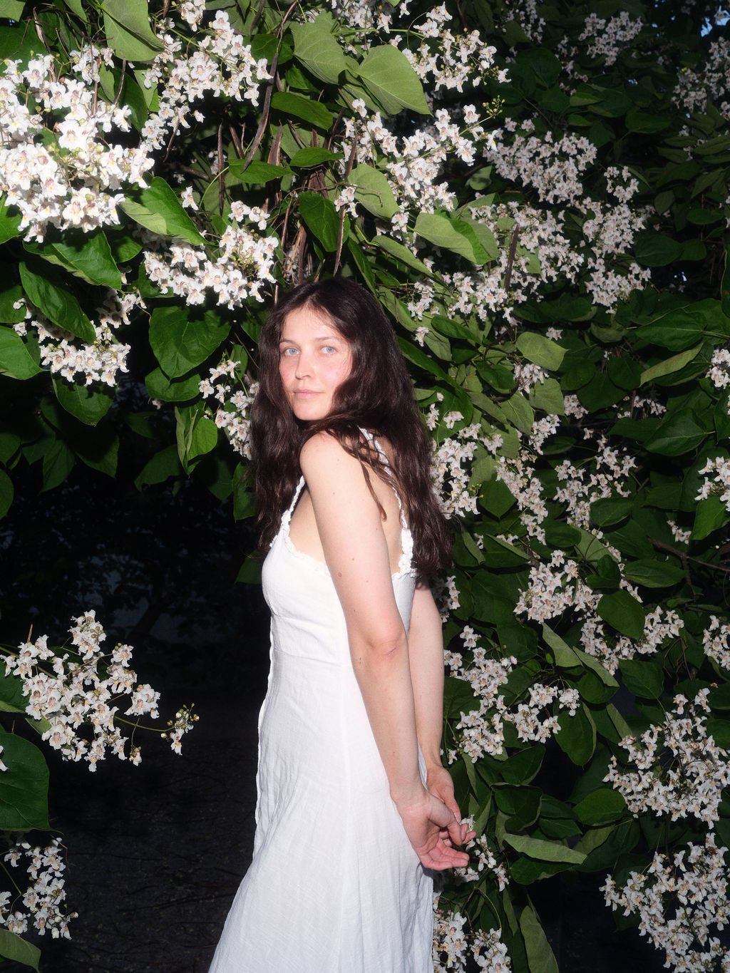Photography — studio medina